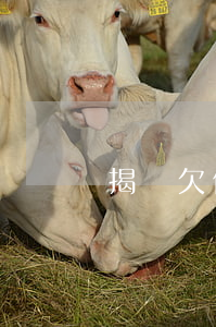 揭陽欠信用卡名單查詢