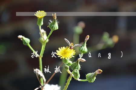 揭陽欠網(wǎng)貸(欠網(wǎng)貸被抓)