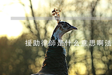 援助律師是什么意思啊(法律援助是律師嗎)