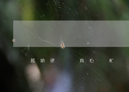援助律師會真心幫忙嗎(援助律師會真心幫忙嗎)