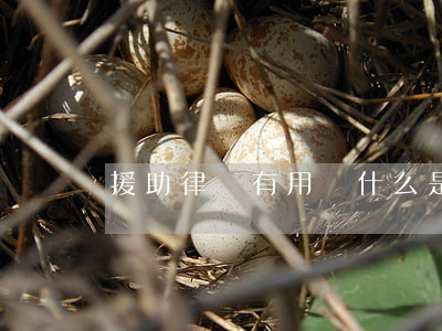 援助律師有用嗎(什么是援助律師)