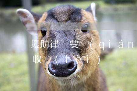 援助律師要錢(qián)嗎(援助律師怎么收費(fèi))