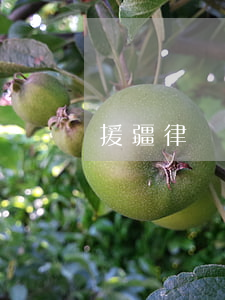 援疆律師申請(新疆烏魯木齊法律援助)