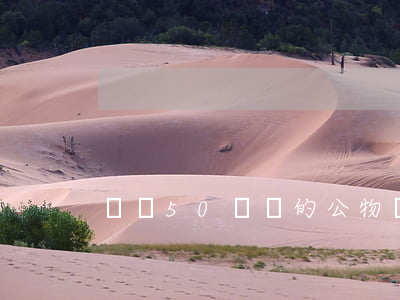 損壞50塊錢的公物(損壞50塊錢的公物)