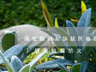 損害賠償起訴狀(民事起訴狀財產(chǎn)損失賠償范文)