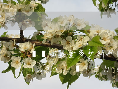 損毀公益金多少判刑(損毀公益林刑事標(biāo)準(zhǔn))