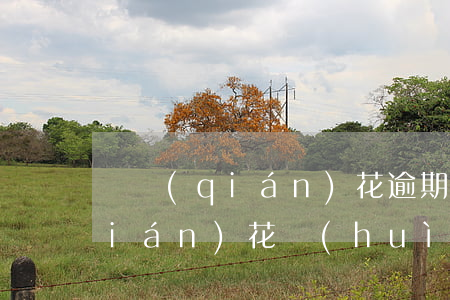 搖錢(qián)花逾期被起訴嗎 搖錢(qián)花會(huì)不會(huì)起訴