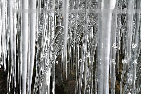 搖錢(qián)花還部分還款算逾期嗎(搖錢(qián)花能延期還款嗎)