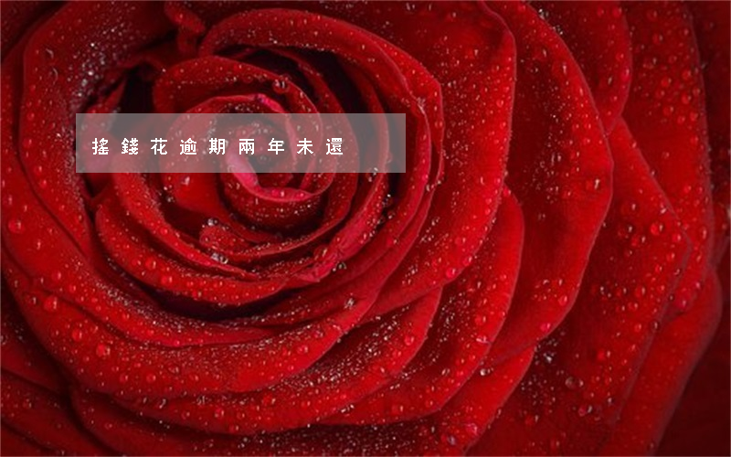 搖錢花逾期兩年未還
