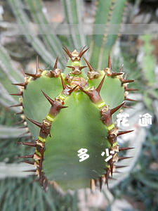 搖錢花逾期多久會被起訴(搖錢花逾期利息有多少)