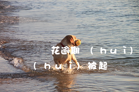 搖錢花逾期會(huì)起訴嗎-搖錢花會(huì)被起訴嗎