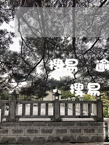 搜易貸逾期半個(gè)月還沒回款怎么辦-搜易貸逾期半個(gè)月還沒回款怎么辦呢