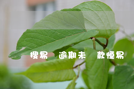 搜易貸逾期未還款(恒易貸還沒到期就催還款)