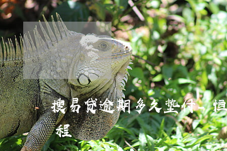 搜易贷逾期多久垫付-恒易贷逾期会催收流程