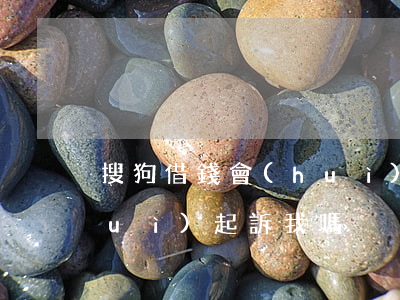 搜狗借錢會(huì)起訴(搜狗借錢會(huì)起訴我嗎)