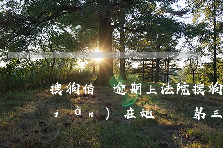 搜狗借錢逾期上法院(搜狗借錢逾期了,現(xiàn)在她轉給第三方,要聯(lián)系家人)