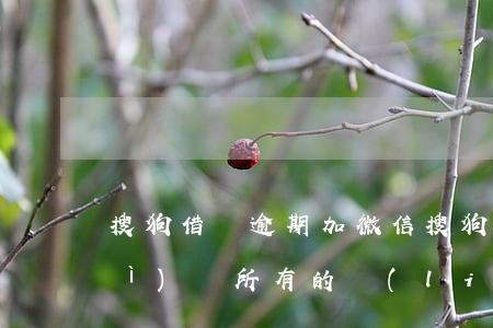 搜狗借錢逾期加微信(搜狗借錢逾期會(huì)給所有的聯(lián)系人打電話嗎)