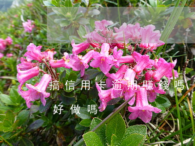 搞信用卡逾期賺錢嗎-催信用卡逾期的工作好做嗎