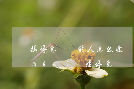 搞停息掛賬的人怎么收費(fèi)(專門(mén)辦理停息掛賬的人可信嗎)