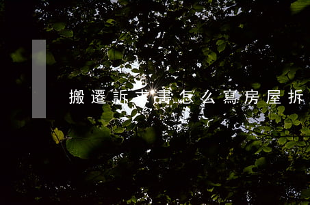 搬遷訴求書怎么寫(房屋拆遷訴求書)
