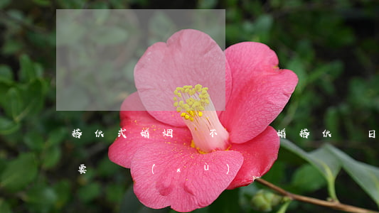 搭伙式婚姻該不該離婚(搭伙過日子的婚姻還要繼續(xù)嗎)
