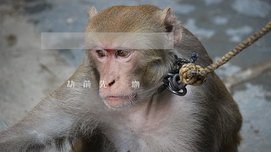 搶劫前先強吻