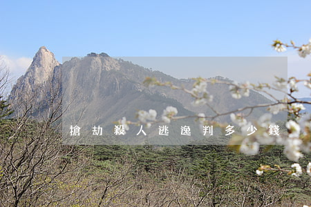 搶劫殺人逃逸判多少錢