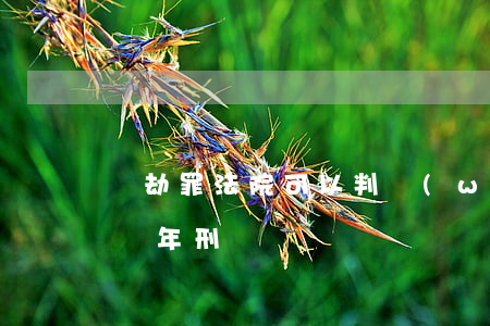 搶劫罪法院可以判無(wú)罪嗎(搶劫罪判幾年刑)