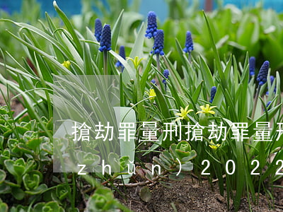 搶劫罪量刑(搶劫罪量刑標(biāo)準(zhǔn)2022)