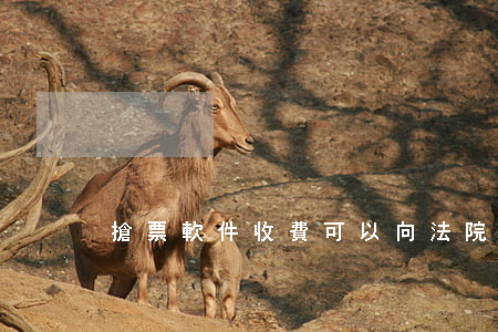 搶票軟件收費可以向法院起訴嗎