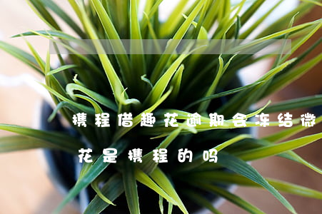 携程借趣花逾期会冻结微信余额吗(趣携借去花是携程的吗)