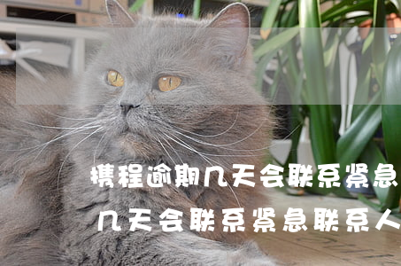 携程逾期几天会联系紧急联系人-携程逾期几天会联系紧急联系人电话