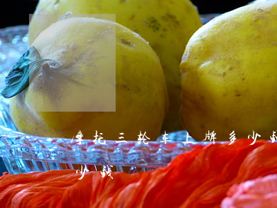 摩托三轮车上牌多少钱(三轮摩托车上牌要多少钱)
