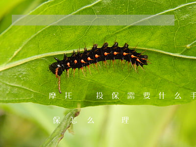 摩托車投保需要什么手續(xù)(摩托車投保怎么辦理)