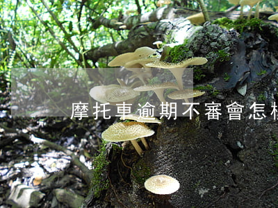 摩托車逾期不審會怎樣