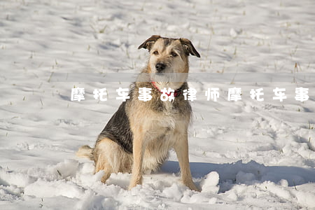 摩托车事故律师(摩托车事故律师咨询)