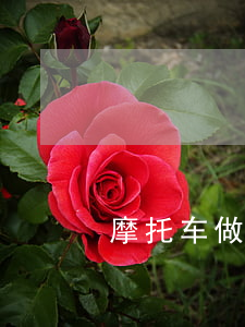 摩托车做车衣多少钱(摩托车做车衣多少钱)
