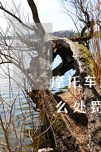 摩托车超载规定处罚多少(驾驶摩托车超载怎么处罚)