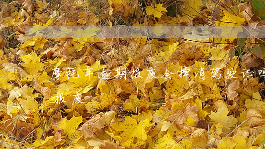 摩托车逾期报废会掉消驾驶证吗（摩托车逾期报废）