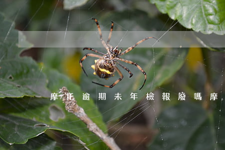 摩托逾期未年檢報廢嗎（摩托逾期未年檢報廢）