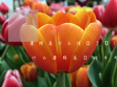 摩羯座什么情況下會(huì)選擇離婚(為什么摩羯座離婚率那么高)