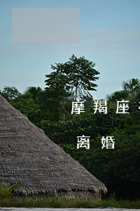 摩羯座有孩子离婚的后果(摩羯女会因为什么离婚)
