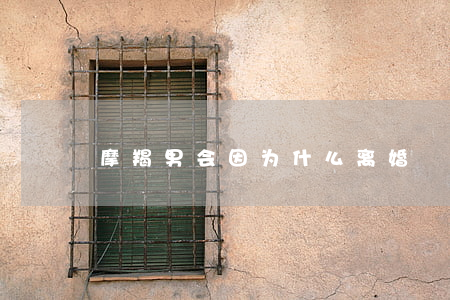 摩羯男会因为什么离婚