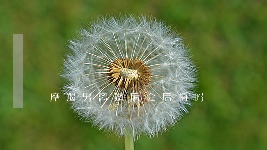 摩羯男离婚后会后悔吗