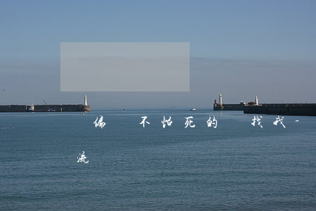 撈偏門不怕死的來找我-撈偏門不怕死的交流