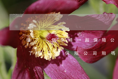 撞了一個孕婦一般保險公司給多少錢(開車撞了個孕婦保險公司賠嗎)