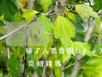 撞了人需要個(gè)人出錢嗎(撞人了自己要賠錢嗎)