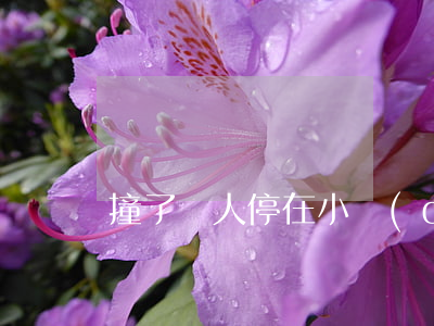 撞了別人停在小區(qū)的車肇事逃逸嗎