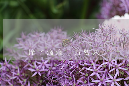 撞了滴滴對方要求賠償誤工費