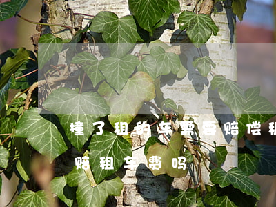 撞了租的车需要赔偿租金吗(撞到租的车需要赔租车费吗?)